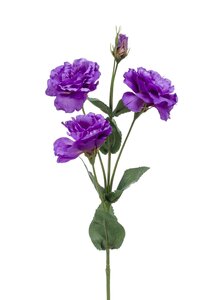 Eustoma spray 68cm purple