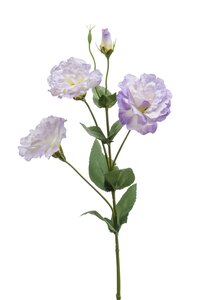 Eustoma spray lavender 68cm