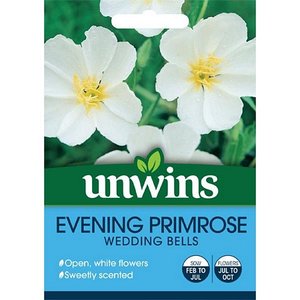 Evening Primrose Wedding Bells