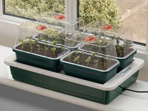 Fab 4 Electric Propagator