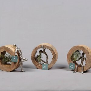 FC-21.1014 Arrang.tillandsia w