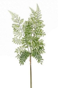 Fern forest spray bundle x3