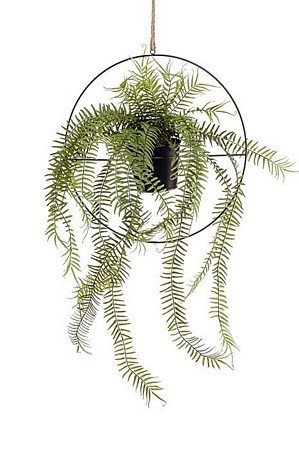 fern in metal hanging ring