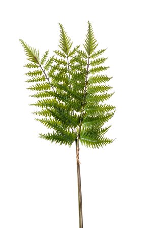 Tree fern spray x3 bundlex3 58cm
