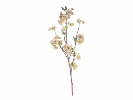 Fleur Branch w. flowers