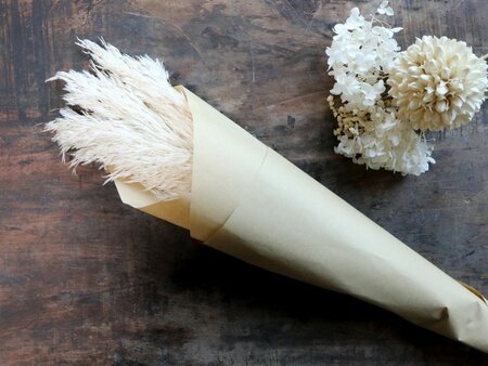 Fleur dried Pampas Grass