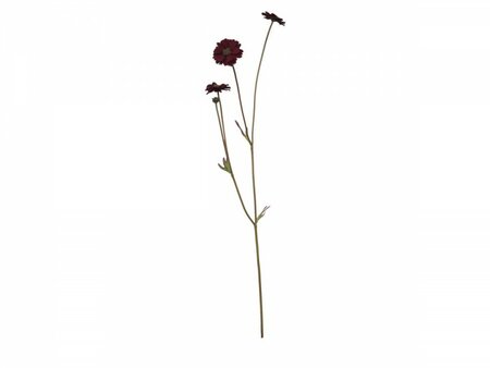 Fleur Wildflower