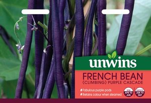 French Bean (Climbing) Purple Cascade