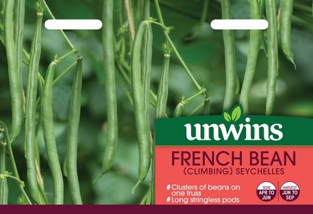French Bean (Climbing) Seychelles