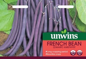 French Bean (Dwarf) Amethyst