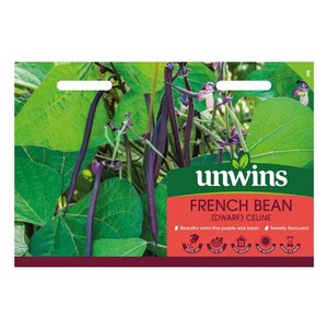 French Bean (Dwarf)  Celine