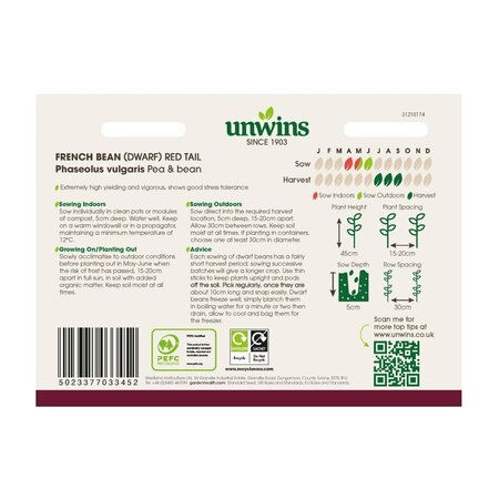 French Bean (Dwarf) Red Tail - image 2