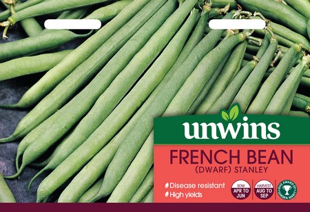 French Bean (Dwarf) Top Crop