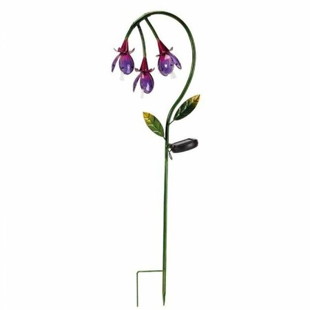 Fuchsia Solar