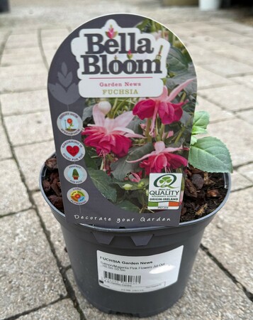 FUCHSIA Garden News