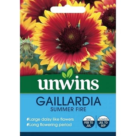 Gaillardia Summer Fire