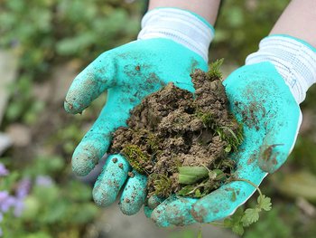 Garden Gloves & Footware