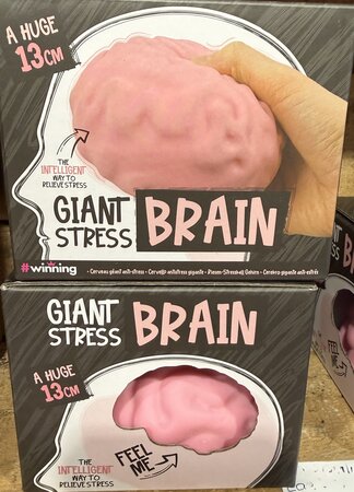 Giant Squishy Stress Brain