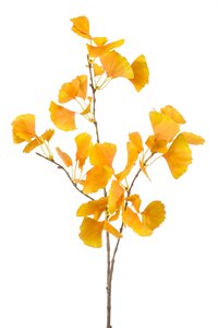 Gingko spray x3 yellow 95cm