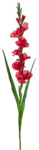 Gladiolus spray red 128cm