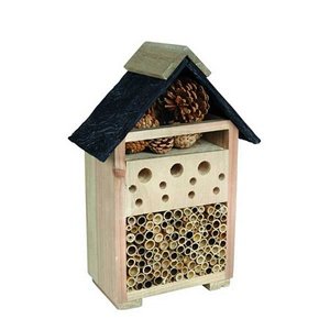 GM Bee and Bug House