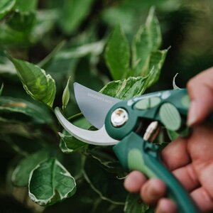 GMT Traditional Bypass Secateurs