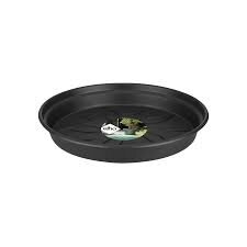 green basics saucer 10cm