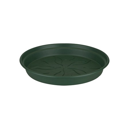 green basics saucer 22cm