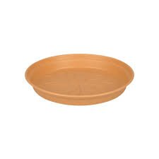 green basics saucer 29cm