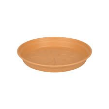 gb saucer 29 mild terra