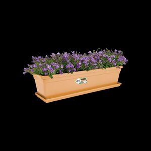 green basics trough 50cm - image 1