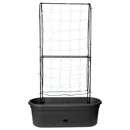 green basics veggie wall 80cm