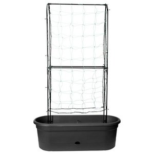 green basics veggie wall 80cm