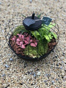 Green Creations arrangement