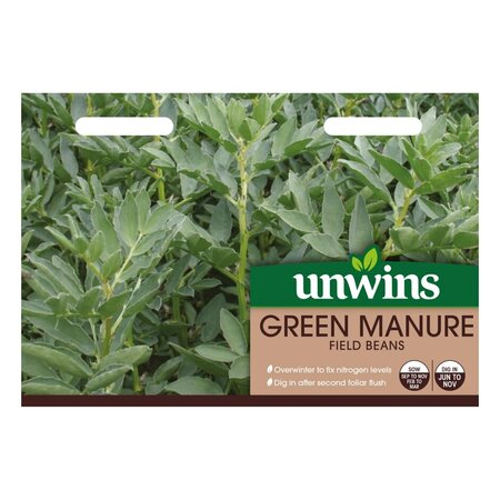 Green Manure Field Beans - image 1