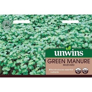 Green Manure Mustard