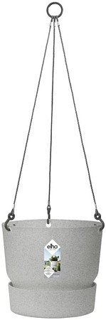 greenville hanging basket 24cm