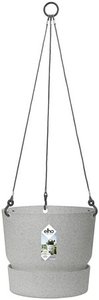 greenville hanging basket 24cm