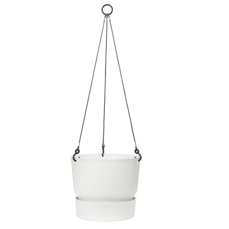 greenville hanging basket 24cm