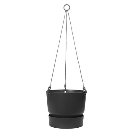 greenville hanging basket 24cm
