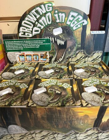 Growing dinosaur in egg,