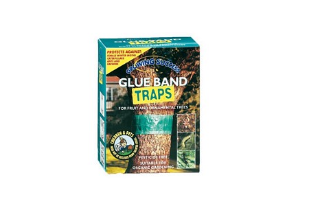 GS Glue Band Traps