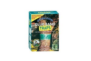 GS Glue Band Traps