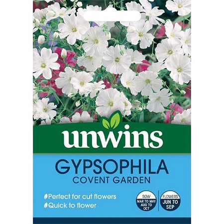 Gypsophila Covent Garden
