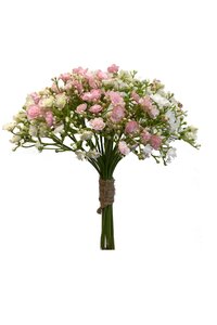 Gypsophilia bundle white/pink 23cm