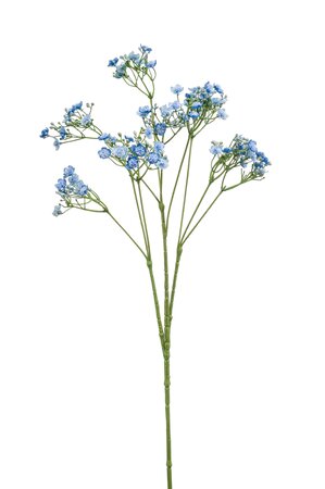 Gypsophilia spray blue 68cm