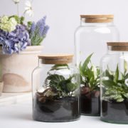 Half open terrarium bottle L