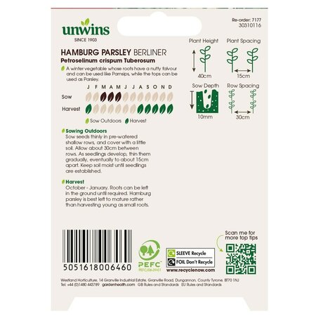 Hamburg Parsley Berliner - image 2