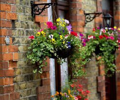 Hanging Baskets and Accessories