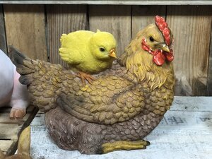 Hen & Chick